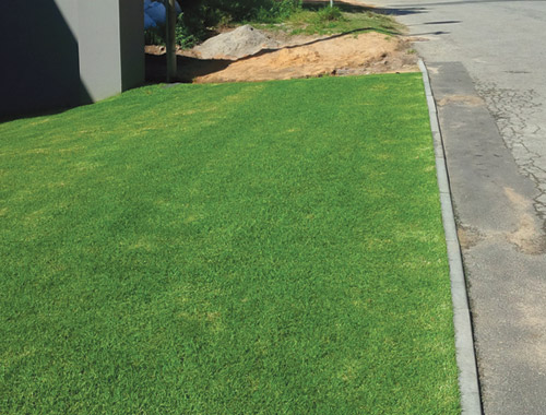 Sudpave front garden